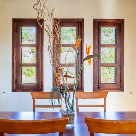 River View Villa *